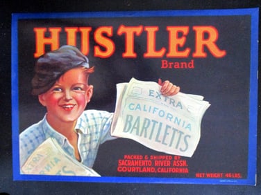 Hustler Newsboy - California Advertising