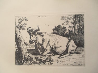 Cow in Repose - Etching Boland/Bartsch