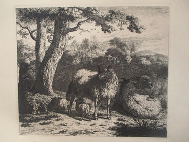 Sheep by Tree - Etching Boland/Bartsch