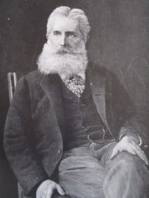 Portrait of Edmund Clarence Stedman