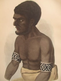 Native of Solomon Island 1855