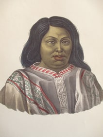 Araucanan Native of Chilie 1855