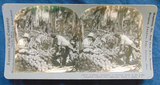 Husking Coconuts - Pagsanjan Island