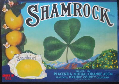 Shamrock Sunkist Lemons California Advertising