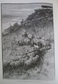 A Pastoral Hillside - Grand River Valley