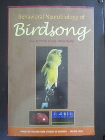 Birdsong