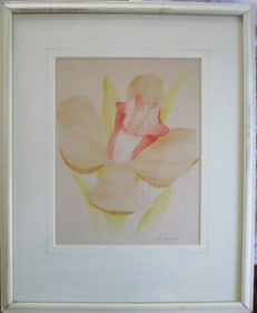 Red & Yellow Lilly - Gnilrad - American School