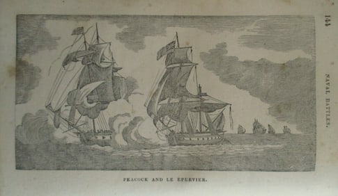 Peacock and Le Epervier