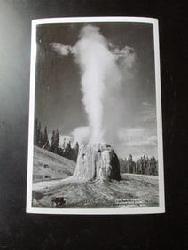 Lone Star Geyser Yellowstone - Albert G. Lucier