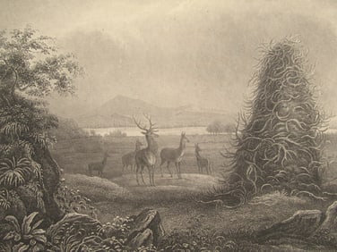 The Elkhorn Pyramid - Western Americana