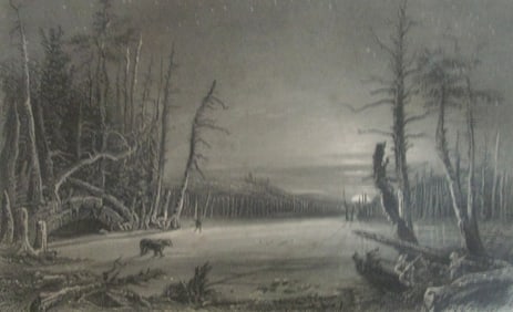 Winter Scene on the Catterskills