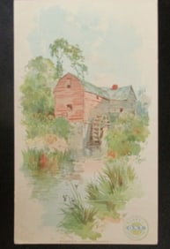 Summer - Long Island New York