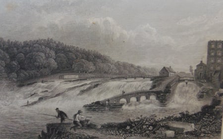 The Coleraine Salmon Leap