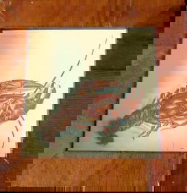 Lobster - In Shadow Box