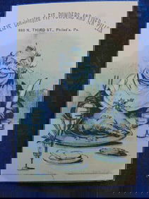 Pleis Celebrated Fit Powders and Liver Pills