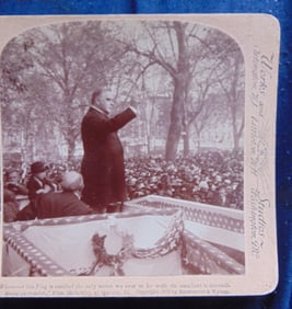 President William McKinley - Flag Assaulted