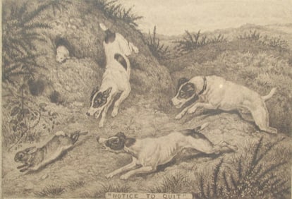 Notice To Quit - Frank Palou