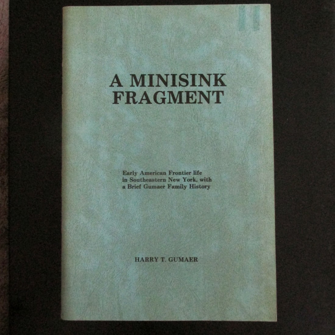 A Minisink Fragment (Southeastern New York) (1 of 2)