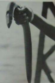 Catching Eels On 254th Street