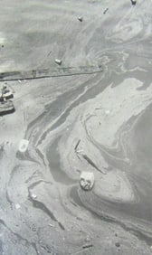 Oil Drift and Debris at Morton Street Pier