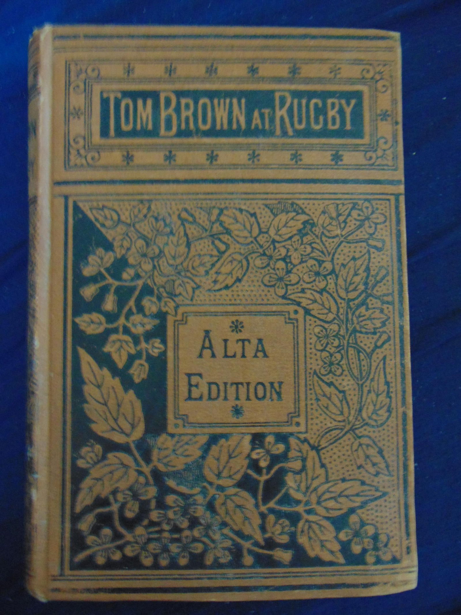 Tom Brown's School Days - Decorated Victorian (1 of 2)