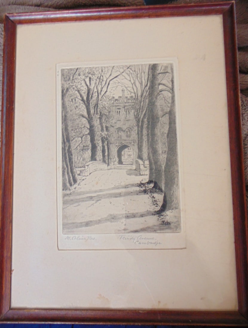 Trinity Avenue - Cambridge - M Oliver Rae (1 of 4)