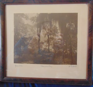 Yniestra Pensacola Florida - Sepia Photo - Entrie