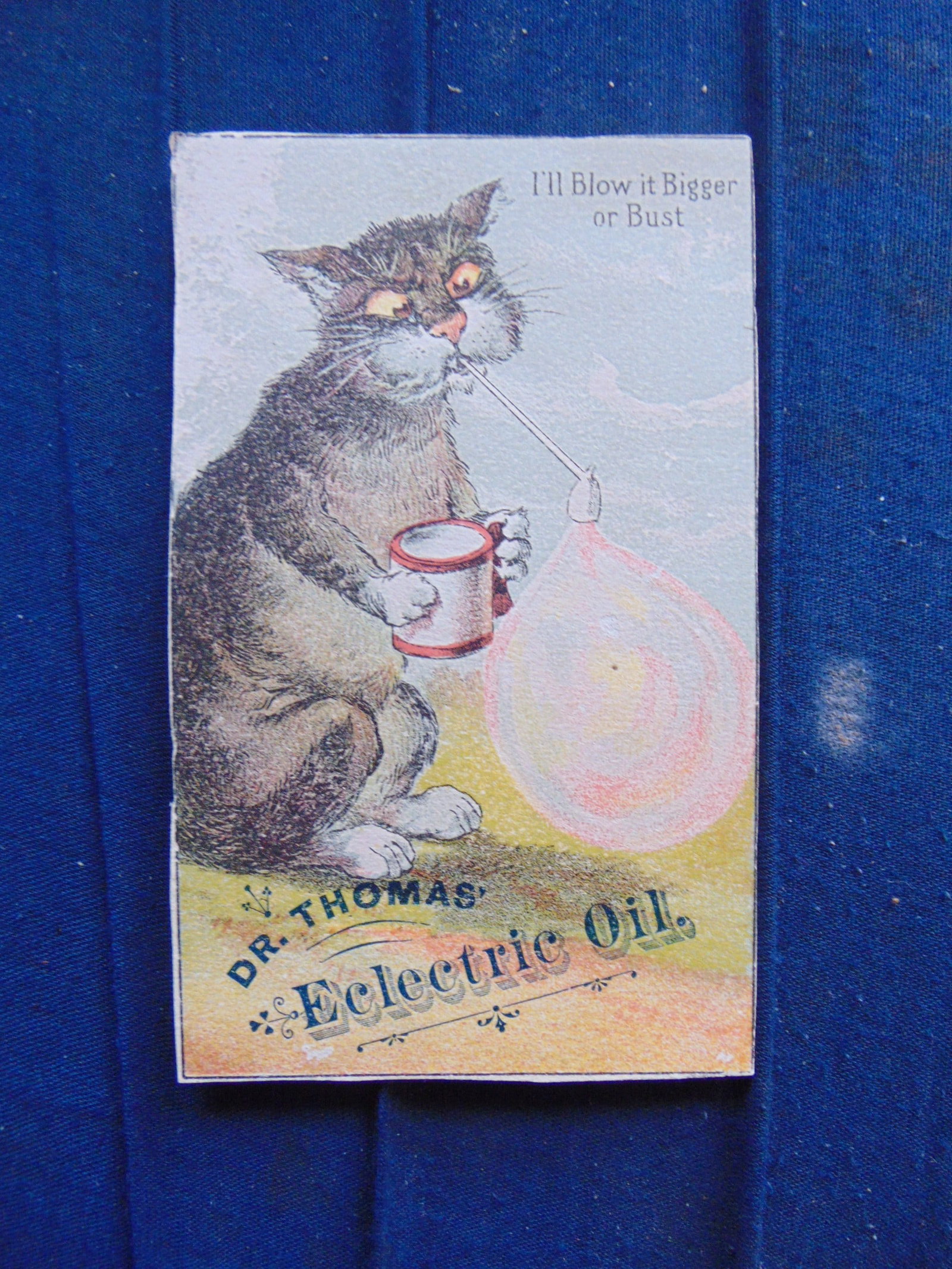 Dr Thomas Eclectirc Oil - Trade Card: Victorian Trade Card - Dr Thomas Eclectirc Oil With Cross Eyed Cat Blowing A Bubble. Rare Advertiser: Dr Thomas Eclectric Oil Product: Chromolithograph Provenance: Hill House Adv