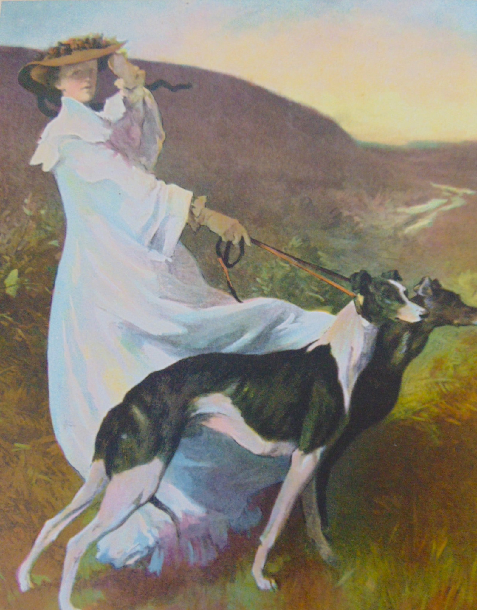 Diana of the Uplands - Rare Printing Example: Diana of the Uplands - Rare Printing Example This is a original tipped in Offset Color Printing plate by the Litho & Offset Engraving Co. It is printed in four colors by the Andrew H. Kellogg Co. of N