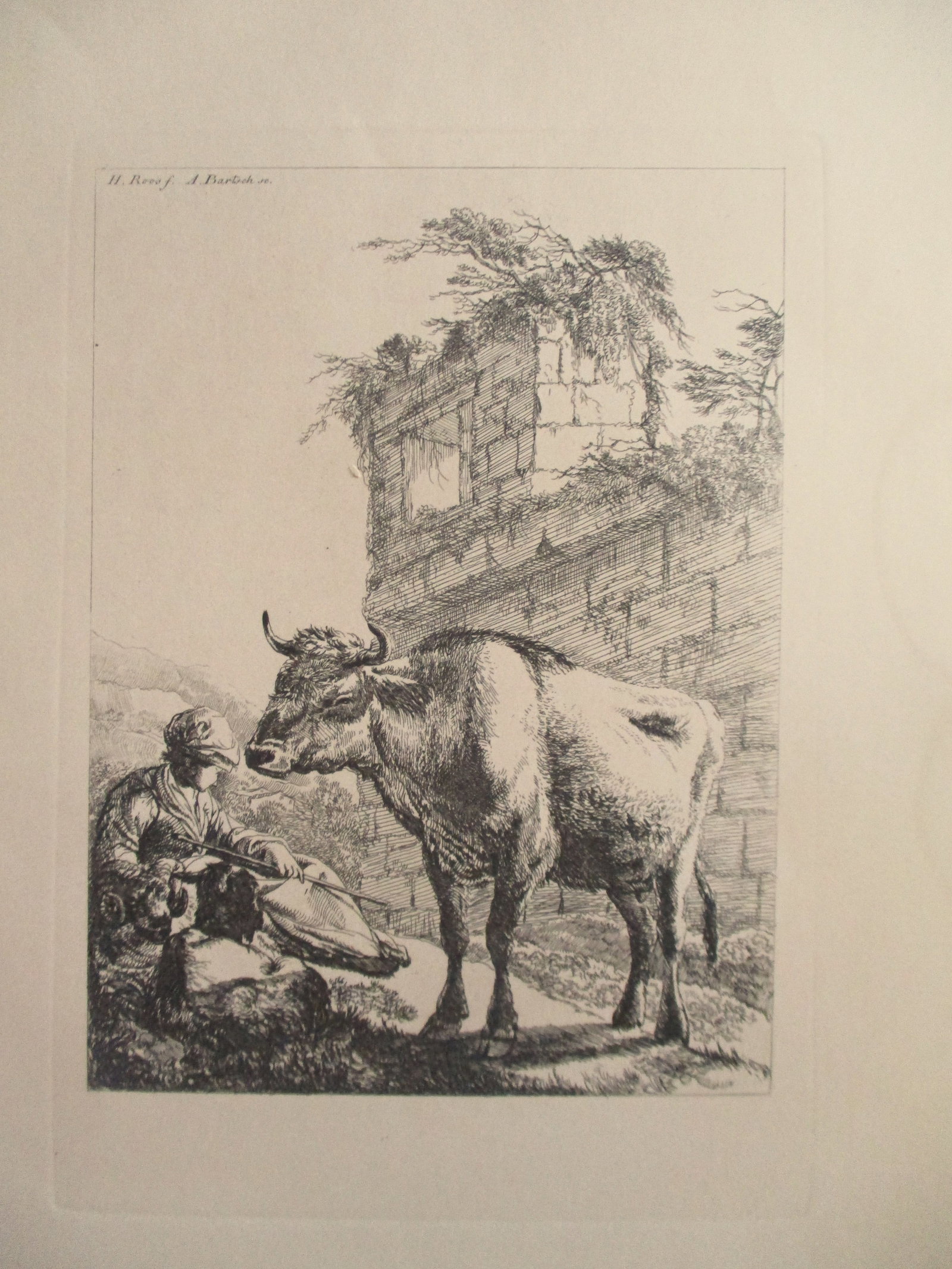 Sheep & Cattle Herder - Etching Boland/Bartsch (1 of 2)