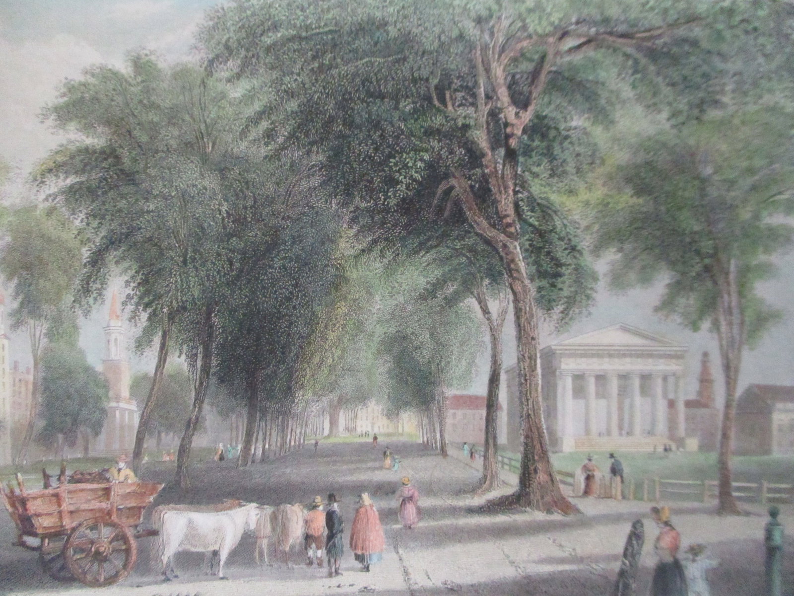 Yale University - New Haven Connecticut (1 of 4)