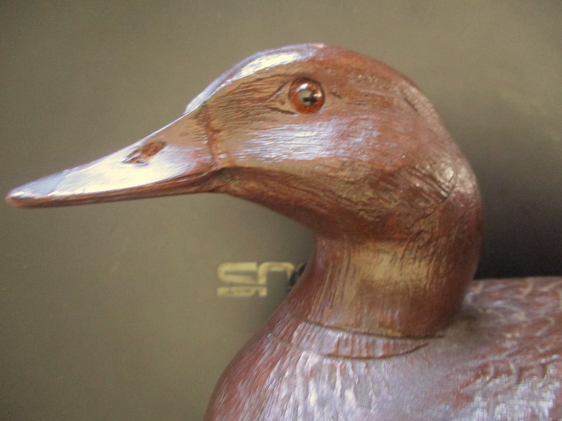 Brown Duck - 2