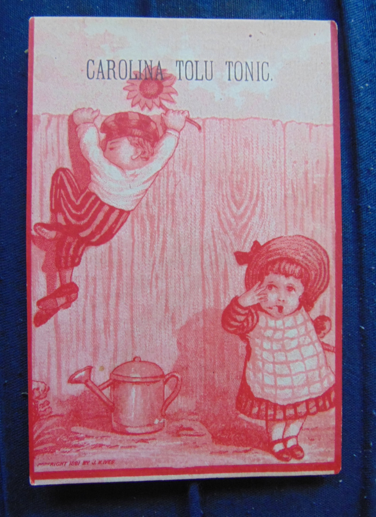 Carolina Tolu Tonic - Trade Card: Victorian Trade Card - Carolina Tolu Tonic Advertiser: Carolina Tolu Tonic Product: Monochromatic Provenance: Hill House Advertising Collection Condition Report Very Good P