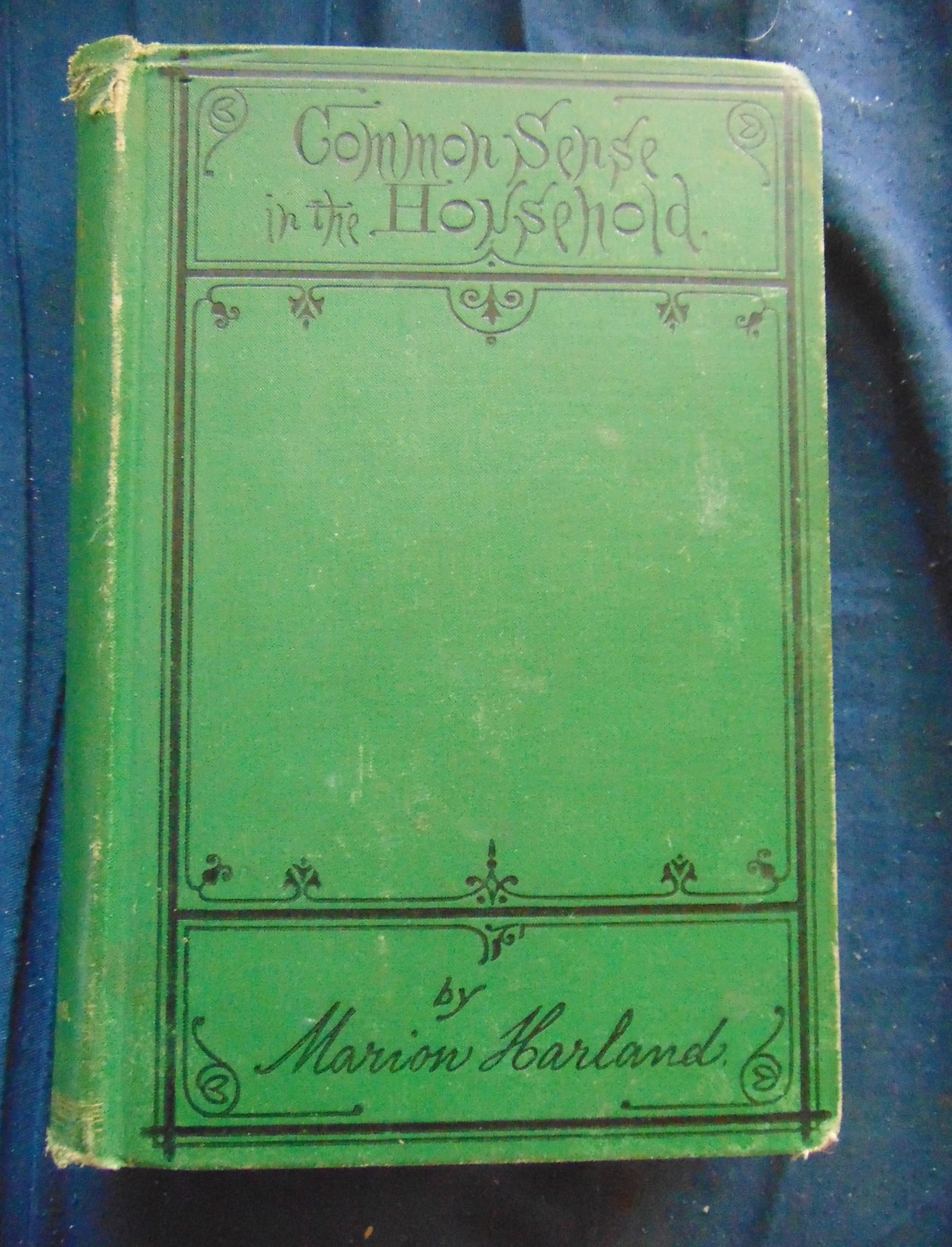 Common Sense In The Household: Common Sense In The Household A Manual of Practical Howewifery. a foundational guide for 19th-century American homemakers. Far more than just a cookbook, it offered comprehensive advice on recipes,