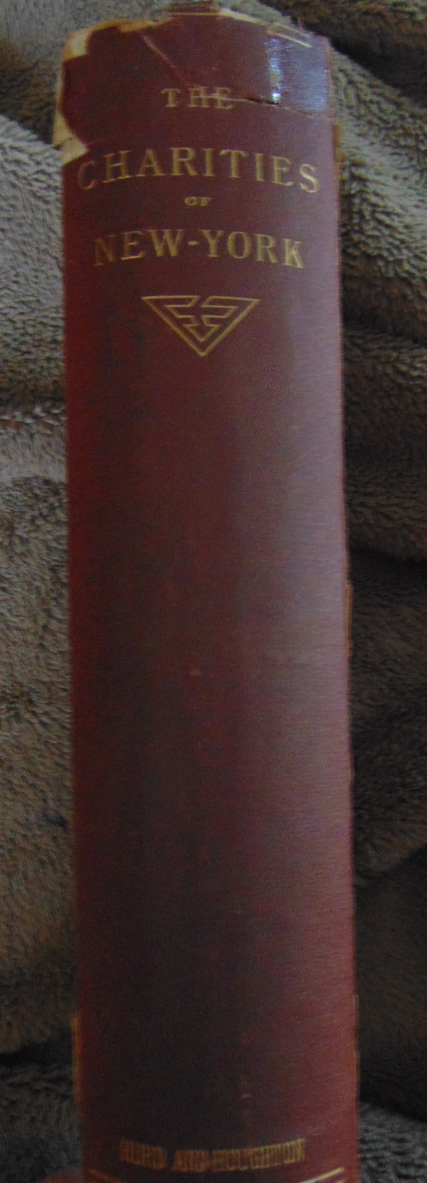 The Charities of New York Brooklyn & Staten Island: The Charities of New York Brooklyn & Staten Island In two parts: Hospitals - Asylums. The section on Asylums is large and detailed. An important rare book. Author: Henry J Cammann & Hugh Camp<