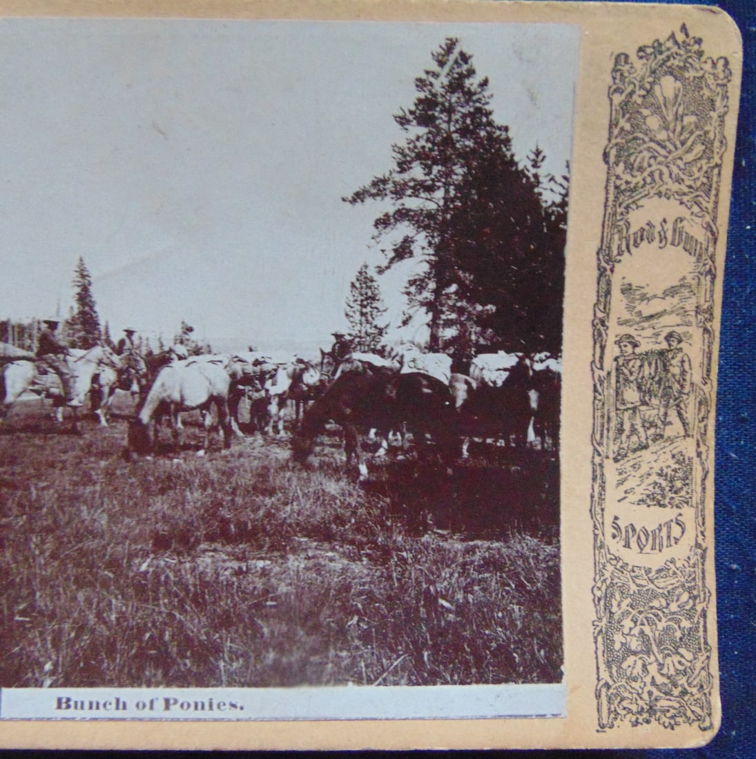 Lot Stereoviews Including Rod and Gun: Lot Stereoviews Including Rod and Gun 4 Cards, 2 Rod & Gun including Bunch of Ponies & Across the Carry At Last. 1 Niagara Falls & 1 The Night Mare. All in very good condition with decorated side pane