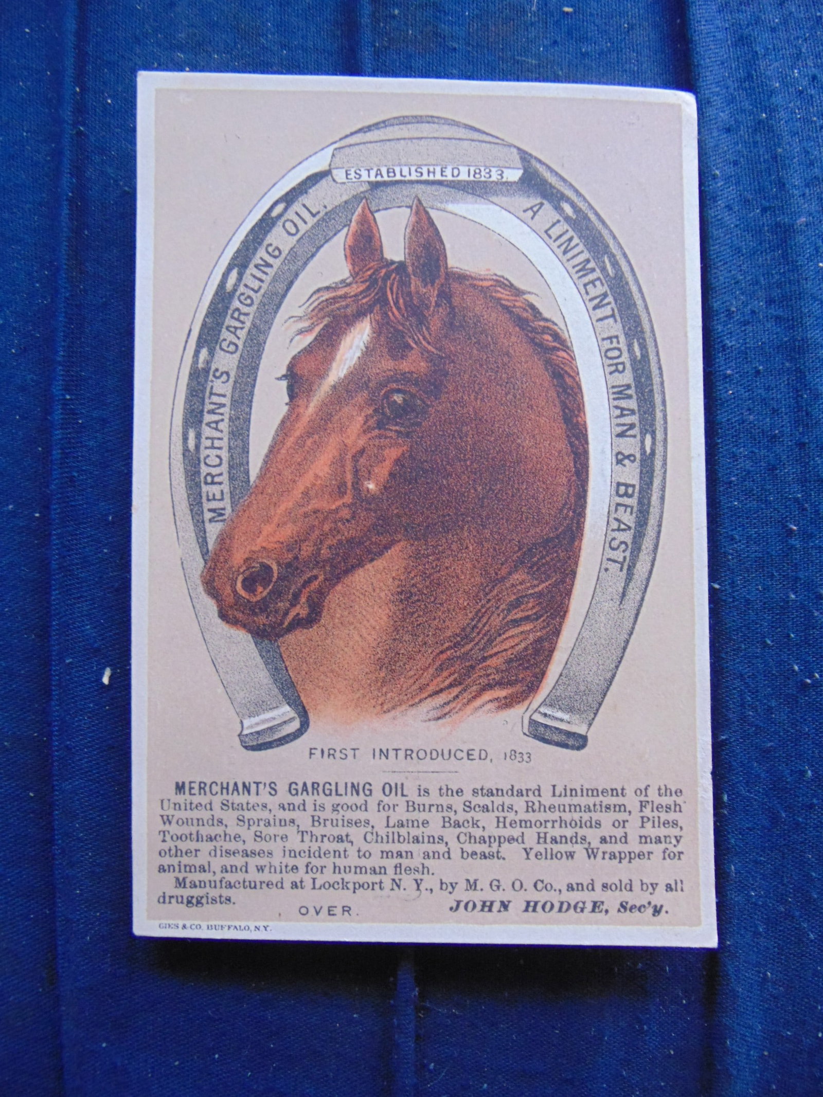 Merchant's Gargling Oil - Trade Card: Victorian Trade Card - Merchant's Gargling Oil A Liniment For Man and Beast. Established 1833 Lucky Horse Shoe and Horse. Product: Chromolithograph Provenance: Hill House Advertising Colle