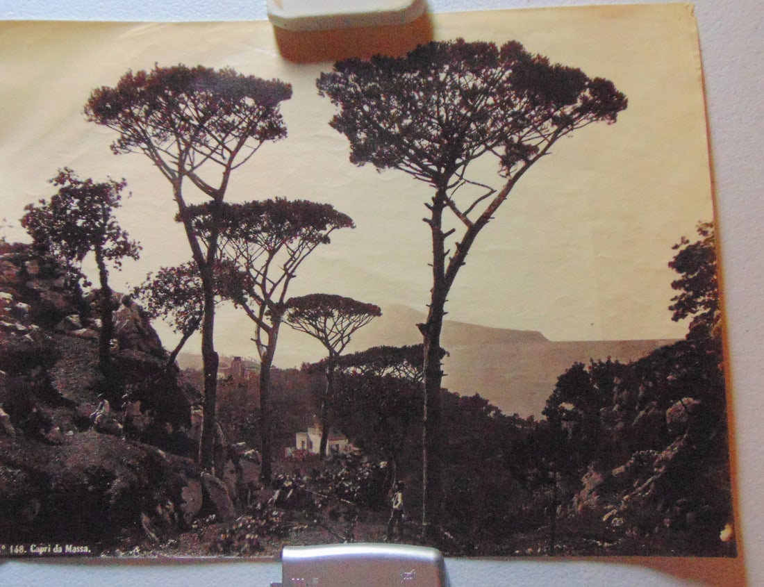 Capri da Massa - Robert Rive 1817 - 1868: Capri da Massa Taken in the 19th century by a photographer named Robert Riva. The photo is a black and white photograph of the island of Capri, Italy. It was taken from the town of Massa Lubrense,