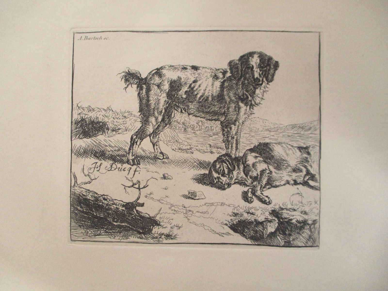 Dog with Dead Dog - Etching Boland/Bartsch: Dog with Dead Dog Etched by Johannes Arnoldus Boland (1838-1922) after Johann Adam Bernhard Ritter von Bartsch (17 August 1757 ? 21 August 1821) Artist: After Ducg