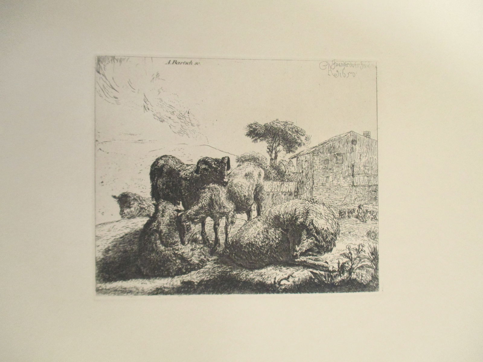 Herd of Sheep - Etching Boland/Bartsch: Herd of Sheep Etched by Johannes Arnoldus Boland (1838-1922) after Johann Adam Bernhard Ritter von Bartsch (17 August 1757 ? 21 August 1821) Print Type: Etching w/ Pla