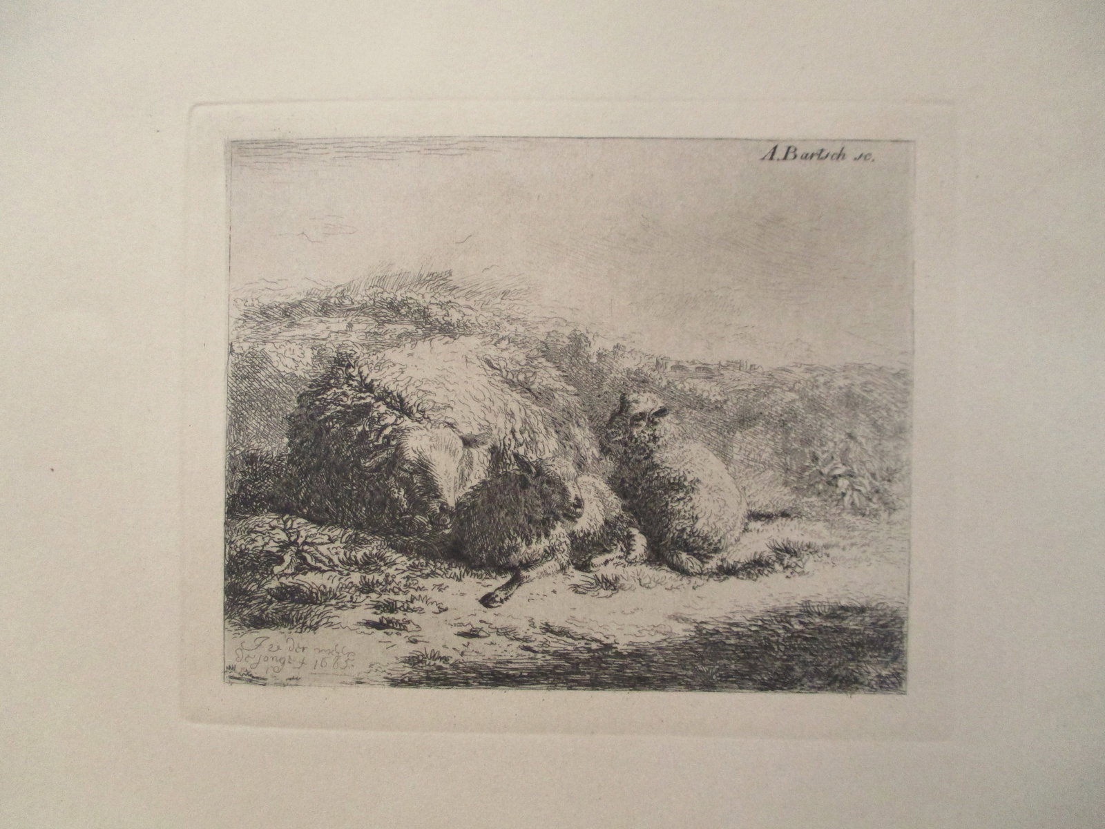 Family of Sheep - Etching Boland/Bartsch: Family of Sheep Etched by Johannes Arnoldus Boland (1838-1922) after Johann Adam Bernhard Ritter von Bartsch (17 August 1757 ? 21 August 1821) Print Type: Etching w/ P