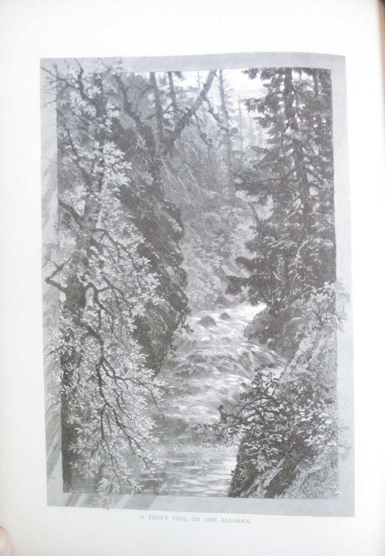 A Trout Pool on the Saugeen - Canada: A Trout Pool on the Saugeen Canada Artist: After F. B. Schell Print Type: Wood Engraving Signed: In plate Date: Circa 1880 Dimensi