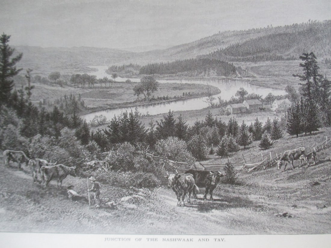 Junction of the Nashwaak and Tay - Canada: Junction of the Nashwaak and Tay Canada Artist: After Schell Print Type: Wood Engraving Signed: In plate Date: Circa 1880 Dimensi