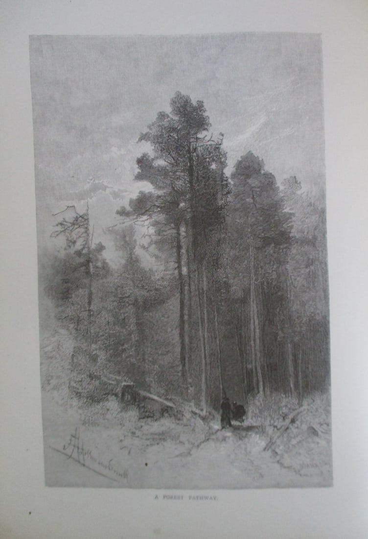 A Forest Pathway - Canada: A Forest Pathway Canada Artist: After F Hopkinson Smith Print Type: Wood Engraving Signed: In plate Date: Circa 1880 Dimensions: