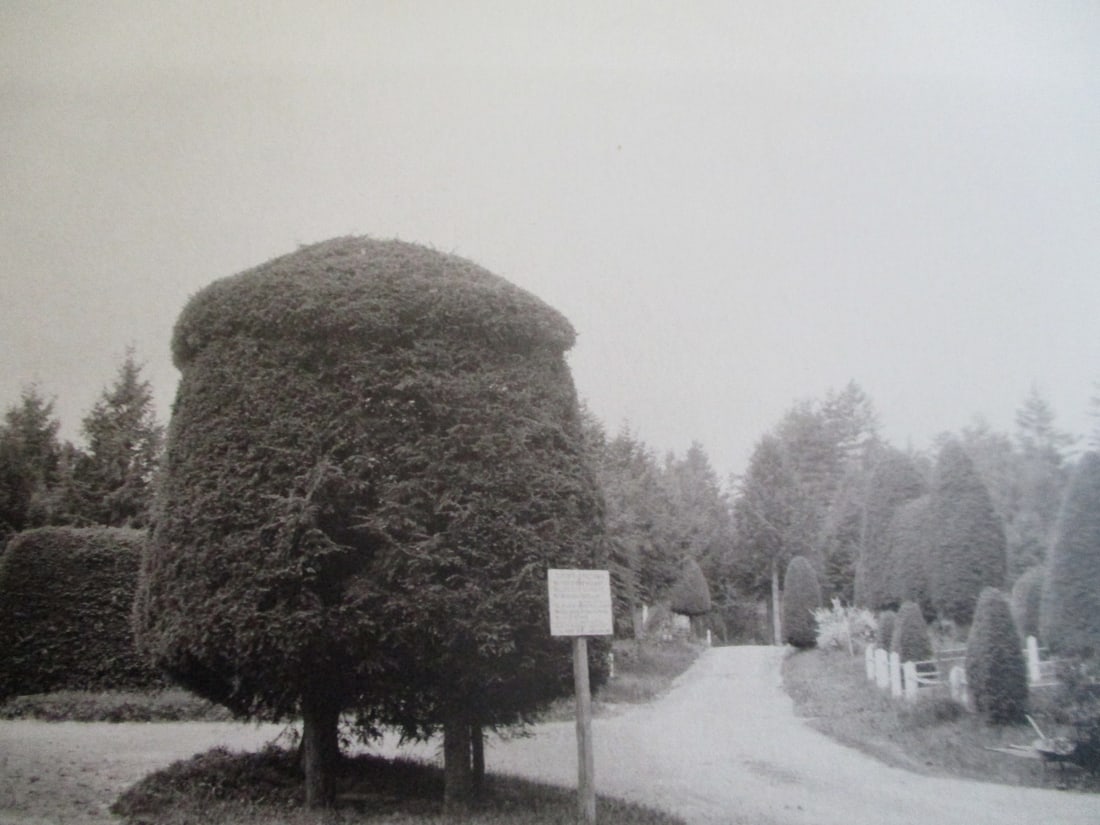 View In Laurel Cemetery - Port Jervis New York: View In Laurel Cemetery - Port Jervis New York Extremely Rare Photographer: W. H. Parish Dated: 1893 Medium: Photomechanical Dimensions: