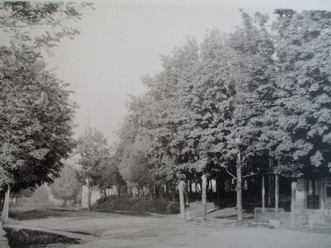 View of Warwick New York: View of Warwick, New York Extremely Rare Photographer: W. H. Parish Dated: 1893 Medium: Photomechanical Dimensions: 7 x 11" Proven