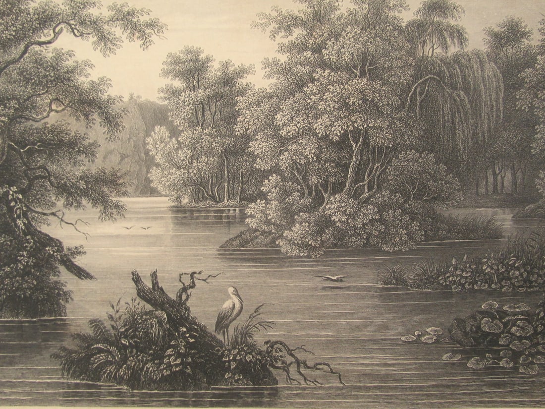 Wild Scenery In Pennsylvania (1 of 3)