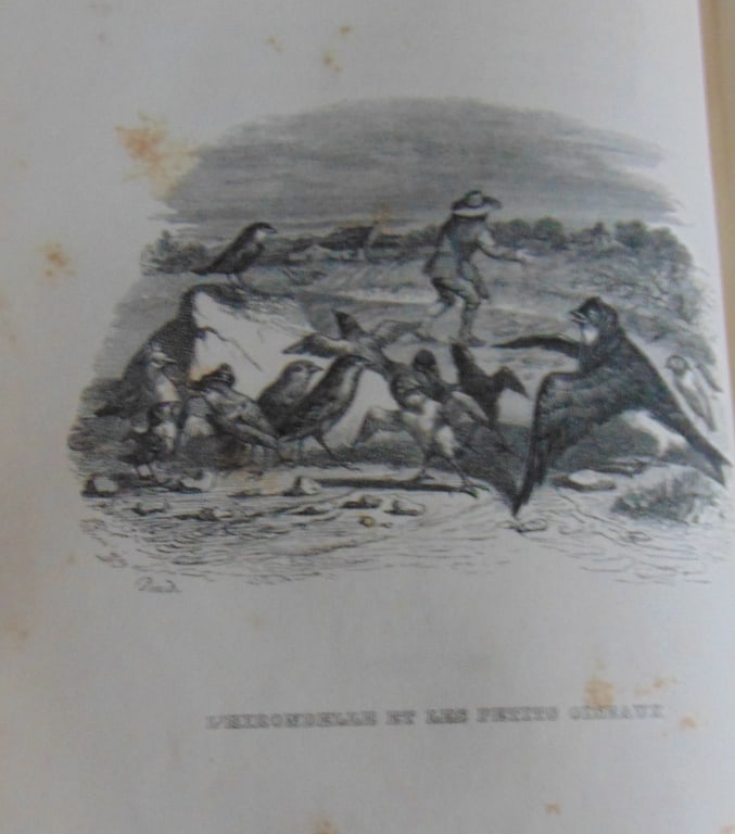 The Swallow and the Little Birds (1 of 2)