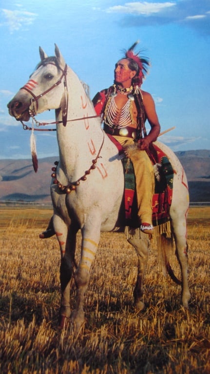 Shoshone - Bannock Warrior (1 of 3)