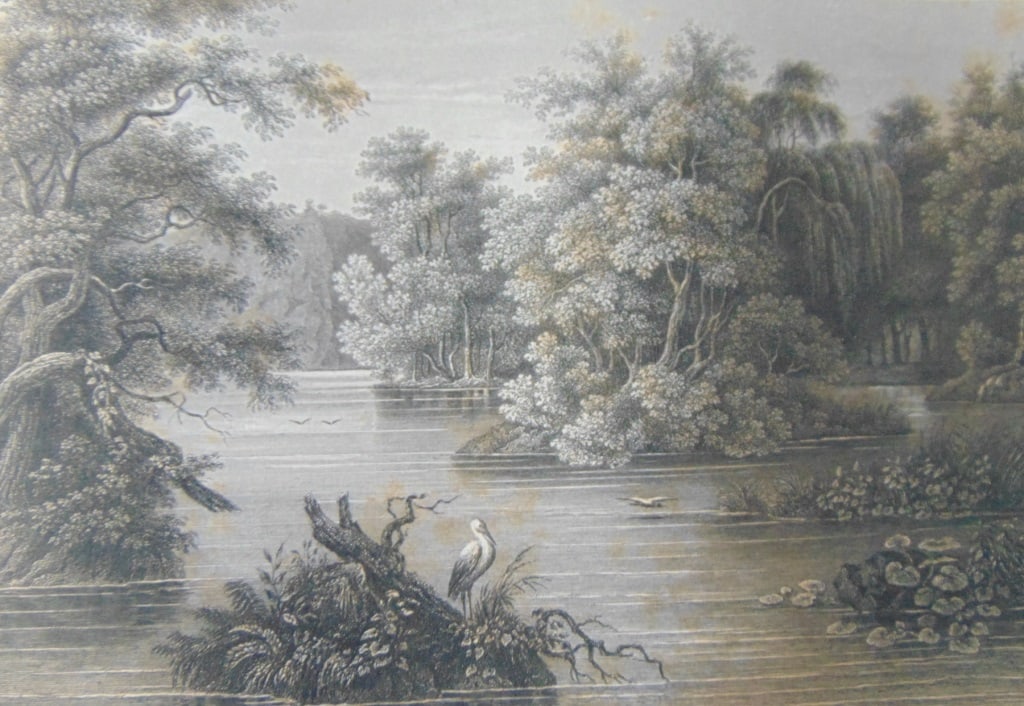 Forest Scene on the Lehigh - Pennsylvania: Forest Scene on the Lehigh - Pennsylvania Rare Print Type: Copper Engraving Date: Circa 1850 Publisher: Hermann J Meyer Origin: American Dimensions: 11 x 7"